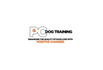 Positive Changes  Positive Changes  Dog Training